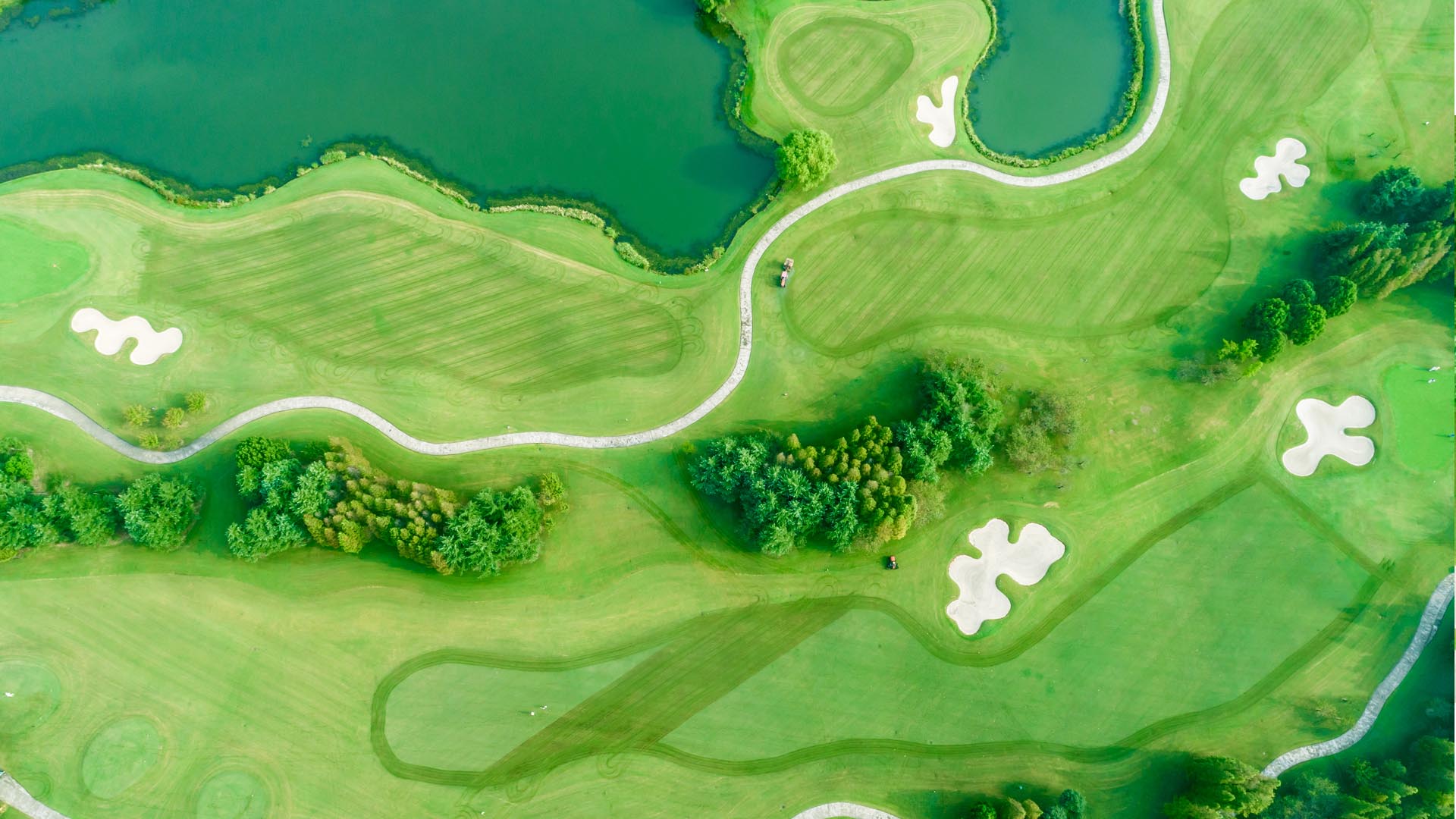 Whitestone Commercial - Specialist Advice l Business Rates Review l ...